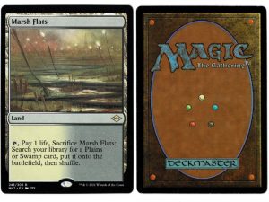 Marsh Flats from Modern Horizons 2 Proxy