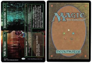 Walk-In Closet // Forgotten Cellar (Borderless) from Duskmourn: House of Horror MTG Proxy