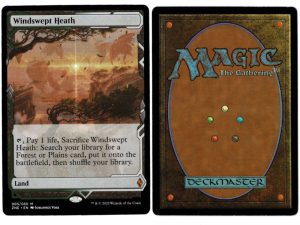 Windswept Heath from Zendikar Rising Expeditions Proxy